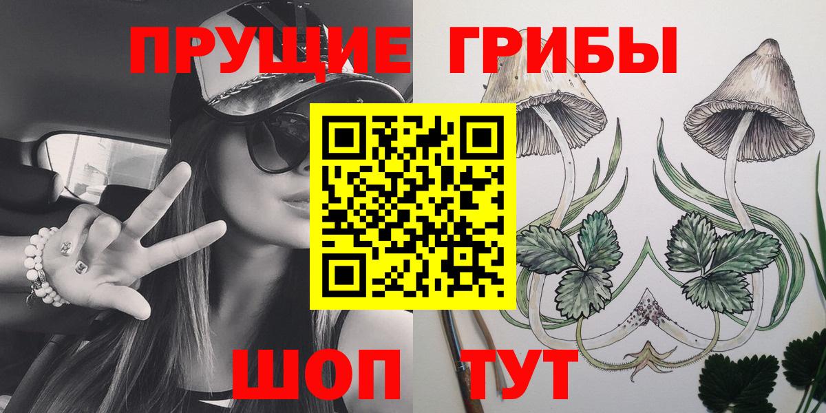 где найти наркотики  Вход с VPN  Нефтекумск  Галлюциногенные грибы мицелий 