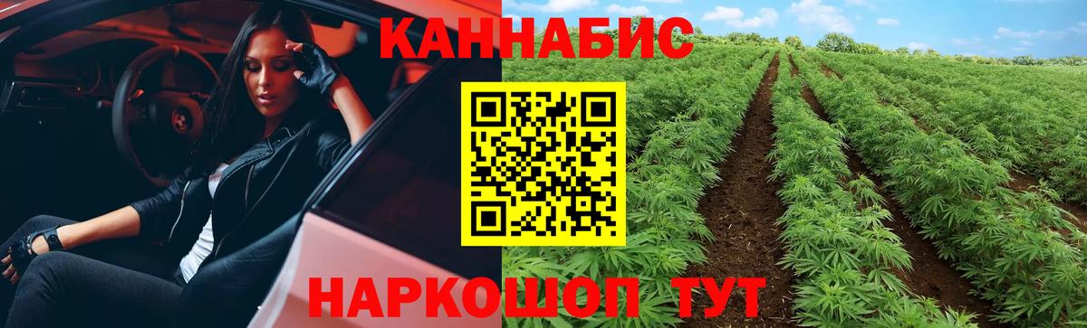 Марихуана гибрид  Бошки марихуана ГИДРОПОН  Нефтекумск  Бошки Шишки VHQ  Вход с VPN 